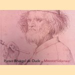 Pieter Bruegel de Oude: Meestertekenaar door Manfred Sellink