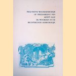 Practisyns woordenboekje of verzameling van meest alle de woorden in de rechtskunde begruikelijk door Franciscus Lievens Kersteman e.a.