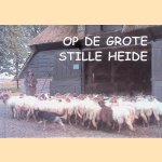 Op de grote stille heide door Div