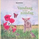 Vandaag is het zondag
Jaap van Oostrum
&euro;&nbsp;10,00