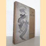 Zen and the Fine Arts *1st Edition* door Shin'ichi Hisamatsu