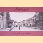 Zaltbommel in oude ansichten
S.H.A.M. Zoetmulder
&euro;&nbsp;6,50