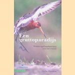 Een gruttoparadijs: weidevogelbeschermers aan het woord door Halbe Hettema