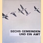 Sechs Gemeinden und ein Amt: Die Chronik des Amtes Vrasselt door Helmut Rotthauwe Genannt L&ouml;ns