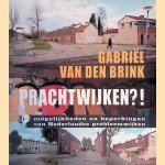 Prachtwijken?! De mogelijkheden en beperkingen van Nederlandse probleemwijken door Evelien van Es