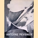 Antoine Pevsner (German Edition)
Pierre Peissi
&euro;&nbsp;20,00