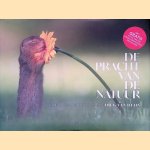 De pracht van de natuur: dieren door de lens van Dick van Duijn
Dick van Duijn
&euro;&nbsp;10,00