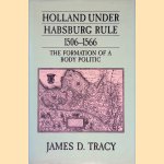 Holland Under Habsburg Rule, 1506-1566: The Formation of a Body Politic door James D. Tracy