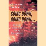 Going down, going down...  De ware toedracht van de Bijlmerramp door Vincent Dekker