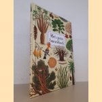 Het grote bomenboek door Piotr Socha e.a.