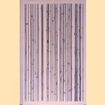 Revolusi: Indonesi&euml; en het ontstaan van de moderne wereld door David Van Reybrouck