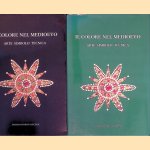 Il colore nel medioevo: arte simbolo tecnica (2 volumes) door M. - and others Pastoureau