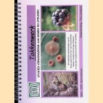 Takkenwerk: stukjes verwondering aan bomen en struiken door Ton Lommers