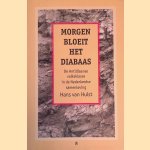 Morgen bloeit het diabaas: De Antilliaanse volksklasse in de Nederlandse samenleving
Hans van Hulst
&euro;&nbsp;10,00