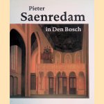 Pieter Saenredam in Den Bosch door Jan de Hond e.a.