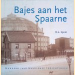 Bajes aan het Spaarne: Honderd jaar Haarlemse Inrichtingen door W.A. Spruit