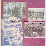 Wijk toen Wijk nu: Levensverhalen uit Cothen, Langbroek en Wijk bij Duurstede +CD door Coos van den Hoek