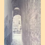 Pindanootjes aan je oren: veertig wandelingen en gesprekken in de binnenstad van Utrecht door Kees Visser