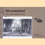 Bloemendaal in oude ansichten door L.J. van Emmerik e.a.