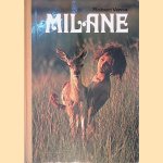 Milane: het verhaal van een Hongaarse zigeunerjongen door Robert Vavra