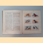 Onze duiven in woord en beeld (6 albums)
C.S.Th. Van Gink e.a.
&euro;&nbsp;30,00