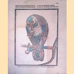 Centsprenten: Nederlandse volks- en kinderprenten = Catchpennyprints: Dutch popular- and childrenprints door C.F. van Veen