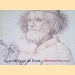 Pieter Bruegel de Oude, Meestertekenaar door Manfred Sellink