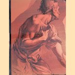 Tutte le tavole dell'Encyclop&eacute;die di Diderot e D'Alembert door Denis Diderot e.a.