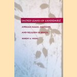 Walking with the Night: The Afro-Cuban World of Santeria door Raul Canizares