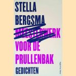 Meesterwerk voor de prullenbab
Stella Bergsma
&euro;&nbsp;8,00