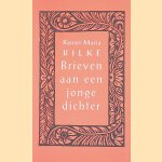 Brieven aan een jonge dichter door Rainer Maria Rilke