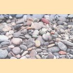 Rijk van der Linde: Wil je mij interviewen? Maar ik heb niets te vertellen door Karin van Ringen