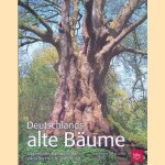 Deutschlands alte Bäume: Sagenhafte Baumgestalten zwischen Küste und Alpen
Stefan Kühn e.a.
€ 20,00 Deutschlands alte Bäume: Sagenhafte Baumgestalten zwischen Küste und Alpen
Stefan Kühn e.a.
€ 20,00