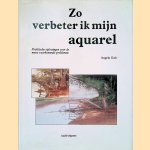 Zo verbeter ik mijn aquarel. Praktische oplossingen voor de meest voorkomende problemen door Angela Gair