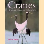 Cranes: A Natural History of a Bird in Crisis door Janice Maryan Hughes