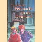 Een nacht in de Domkerk door Hieke van der Werff