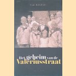 Het geheim van de Valeriusstraat door Luuc Kooijmans
