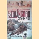 Stalingrad: City on Fire door Alexey Isaev