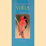Suider-Afrikaanse vo&euml;ls: 'n Fotogids door Ian Sinclair