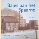 Bajes aan het Spaarne: Honderd jaar Haarlemse Inrichtingen door W.A. Spruit