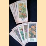 Verkade's kwartet-spel
Verkade's Fabrieken N.V.
€ 10,00 Verkade's kwartet-spel
Verkade's Fabrieken N.V.
€ 10,00