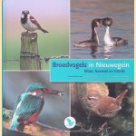 Broedvogels in Nieuwegein: waar, hoeveel en trends door Gerrie Abel