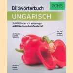 PONS Bildw&ouml;rterbuch Ungarisch: 16.000 W&ouml;rter und Wendungen mit landestypischem Sonderteil door Anette Dralle
