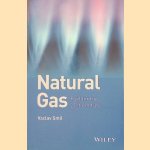 Natural Gas: Fuel for the 21st Century door Vaclav Smil
