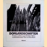 Domlandschaften: der Dom zu K&ouml;ln in ungew&ouml;hnlichen Bildern door Winfrid Kralisch e.a.
