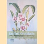 Een Tuil Orchidee&euml;n: Anthologie uit de Tuin der Geesteswetenschappen te Groningen
Hans T. Bakker
&euro;&nbsp;8,00