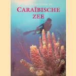 Duikgids voor de Caraibische Zee door Kurt Amsler
