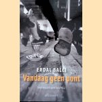 Vandaag geen pont: impressie van Istanbul door Erdal Balci.