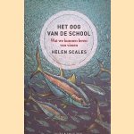 Het oog van de school: Wat we kunnen leren van vissen door Helen Scales