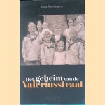 Het geheim van de Valeriusstraat door Luuc Kooijmans